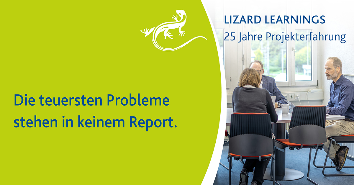 Infografik zu Lizard Learnings: Die teuersten Probleme stehen in keinem Report.