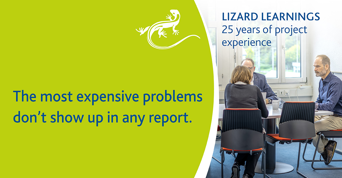 Infographic about Lizard Learnings: The most expensive problems are not mentioned in any report.